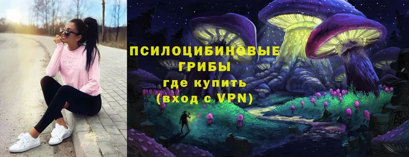 где продают   Анжеро-Судженск  сайты даркнета официальный сайт  Галлюциногенные грибы MAGIC MUSHROOMS 